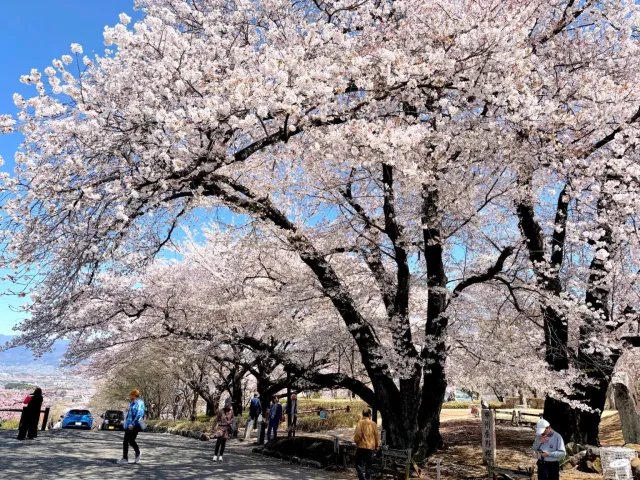 🏞️ 구레후시노사토 고분 공원(구레후시노사토코훈코엔) 이미지 9